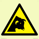 w034-warning-bull~
